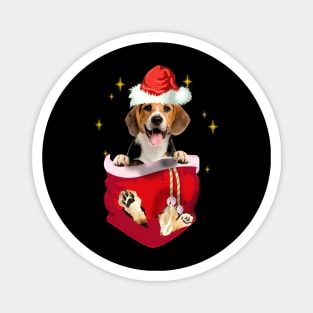 Beagle In Pocket Christmas Gift Magnet